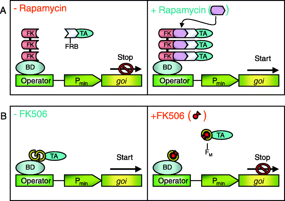 1773366163966068.png 图片112.png