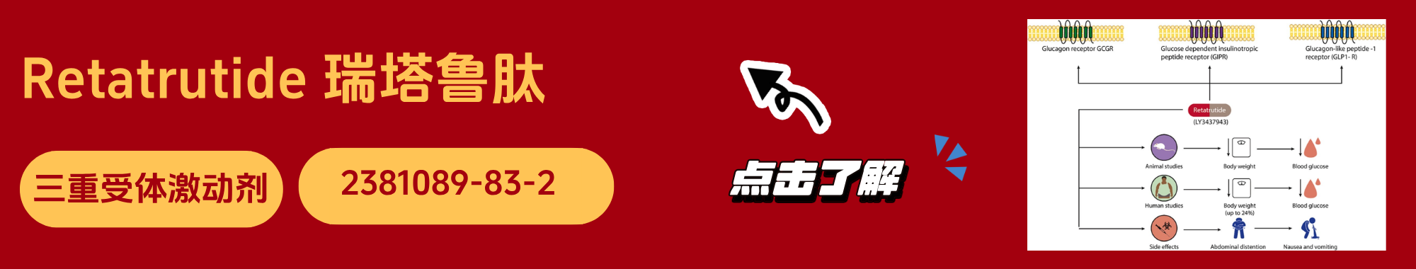 瑞塔鲁肽.png