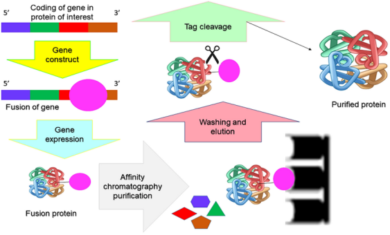 1766728356663336.png d2d52310-7781-44ef-9de3-09eff1593ef3.png