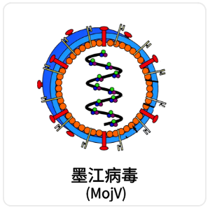 墨江病毒 (MojV)
