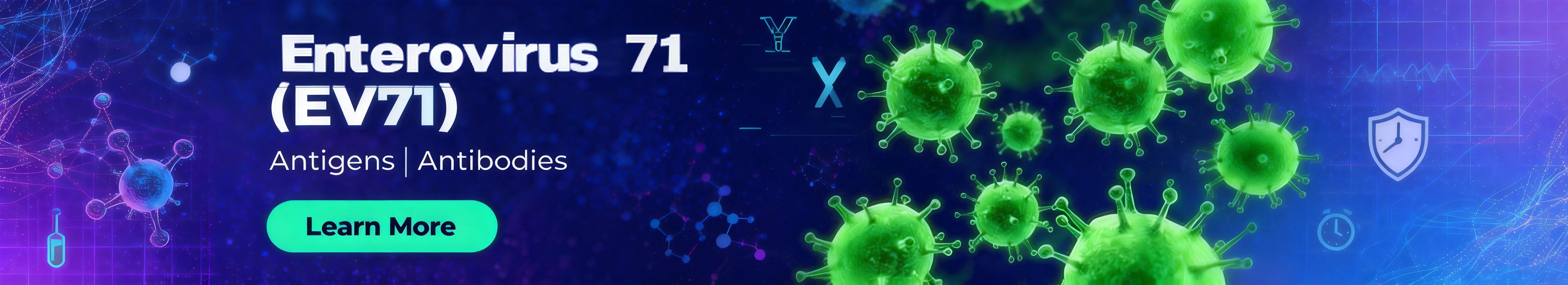 肠道病毒71型(EV7) 肠道病毒71型(EV7)