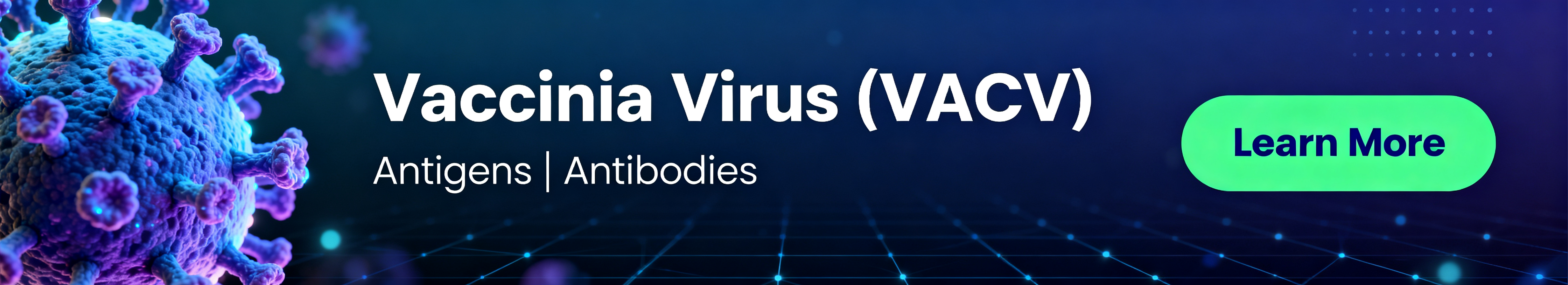 痘苗病毒 (VACV)