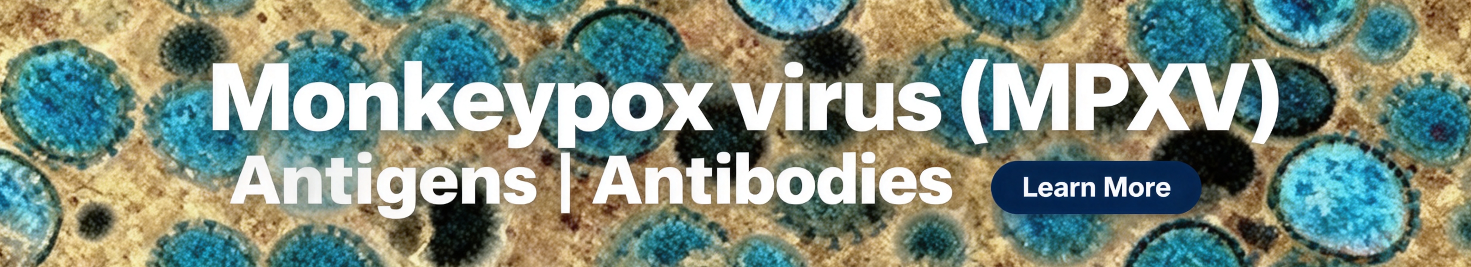 猴痘病毒 (MPXV)