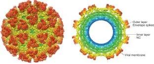 1768881001993863.jpg 图片1.jpg