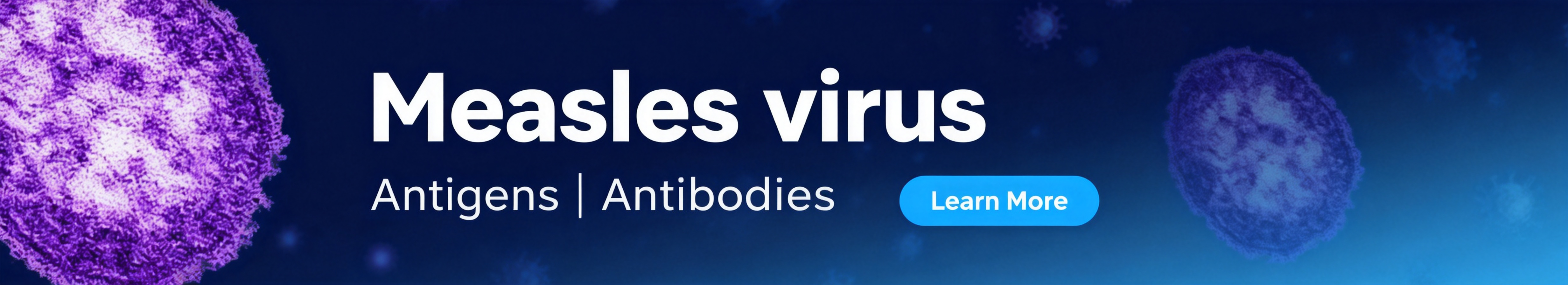 麻疹病毒（Measles virus）