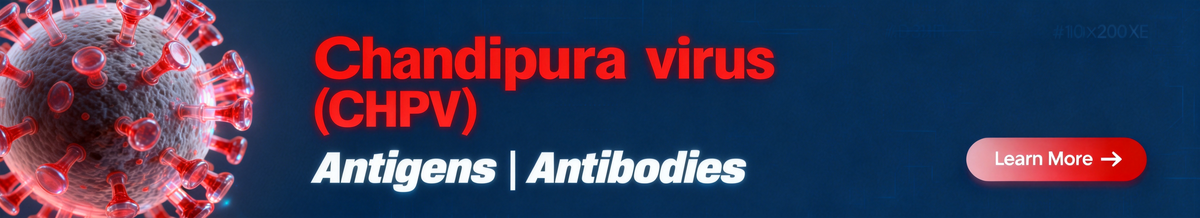 钱德普拉病毒 (CHPV)