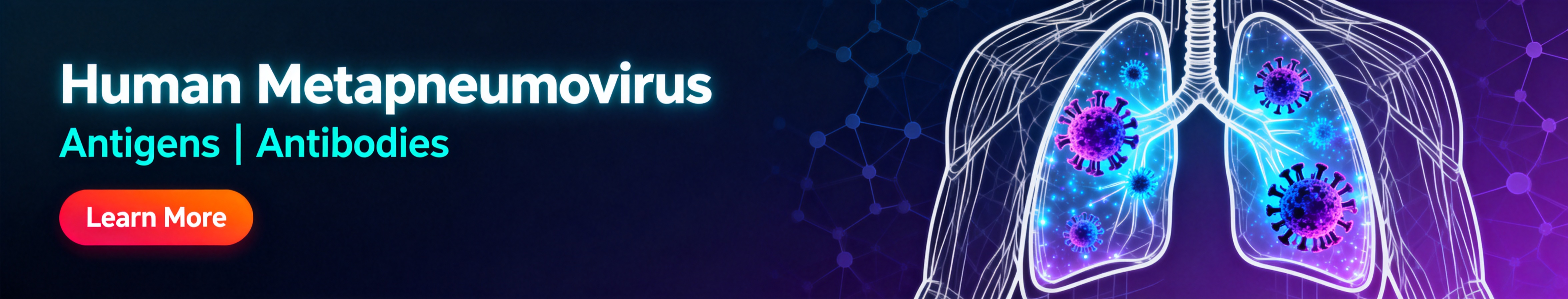 人偏肺病毒 (HMPV)