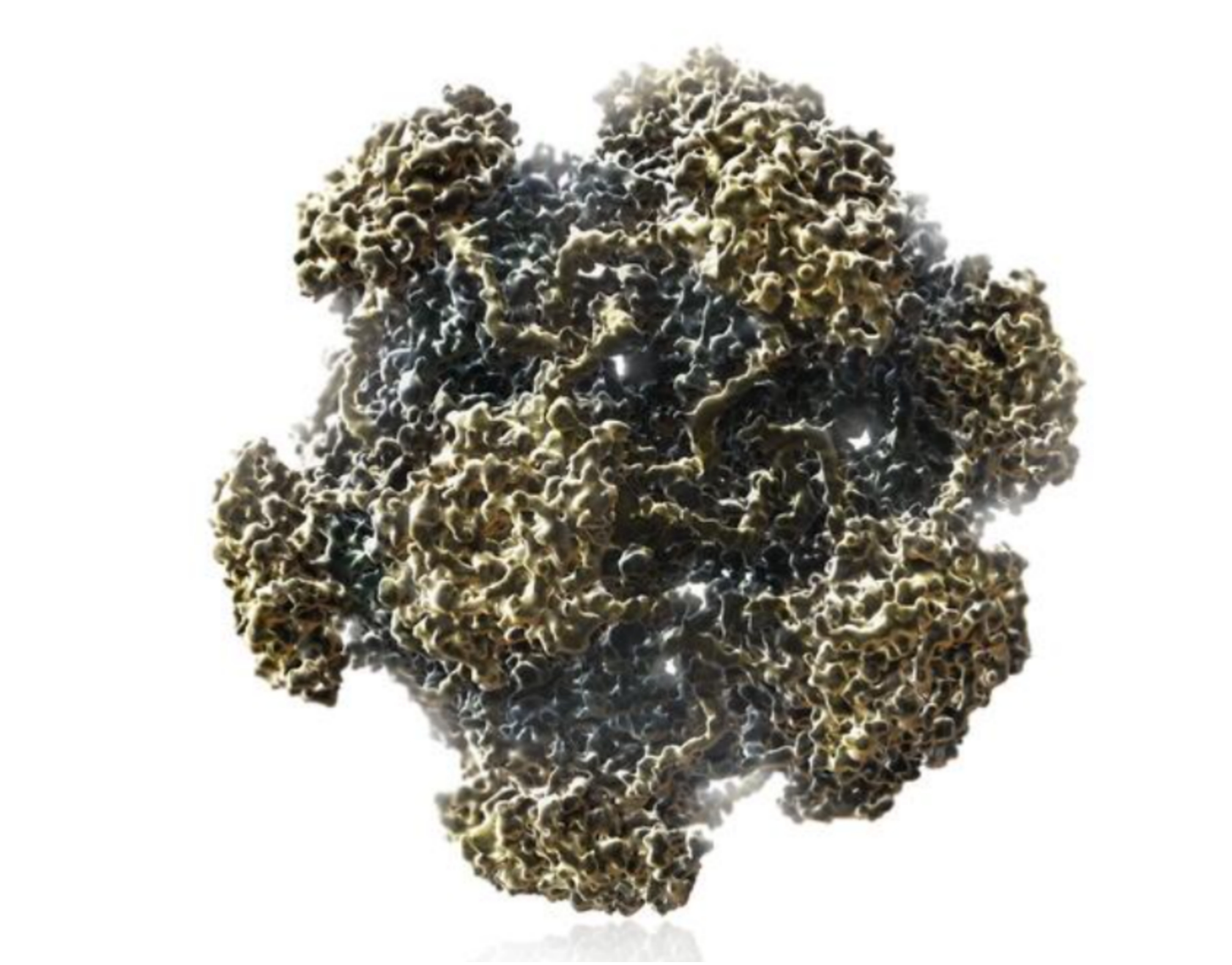 人乳头瘤病毒 (HPV)