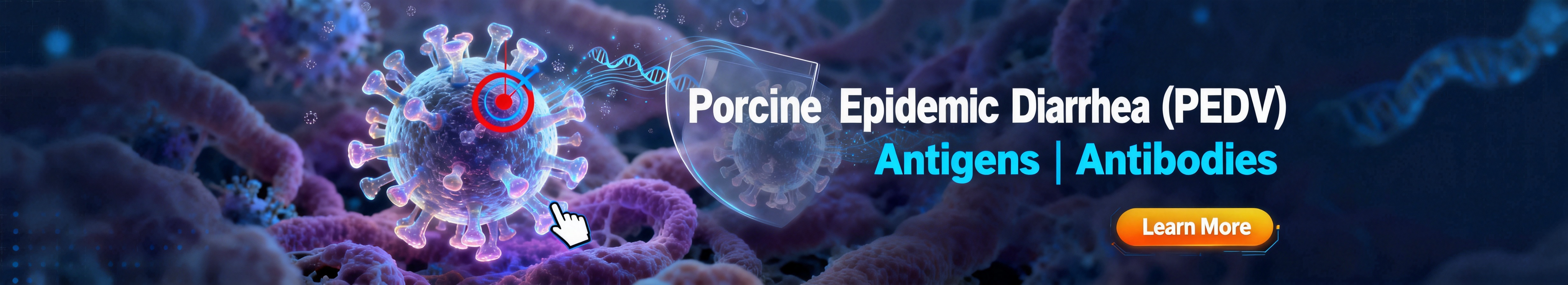 猪流行性腹泻病毒 (PEDV)