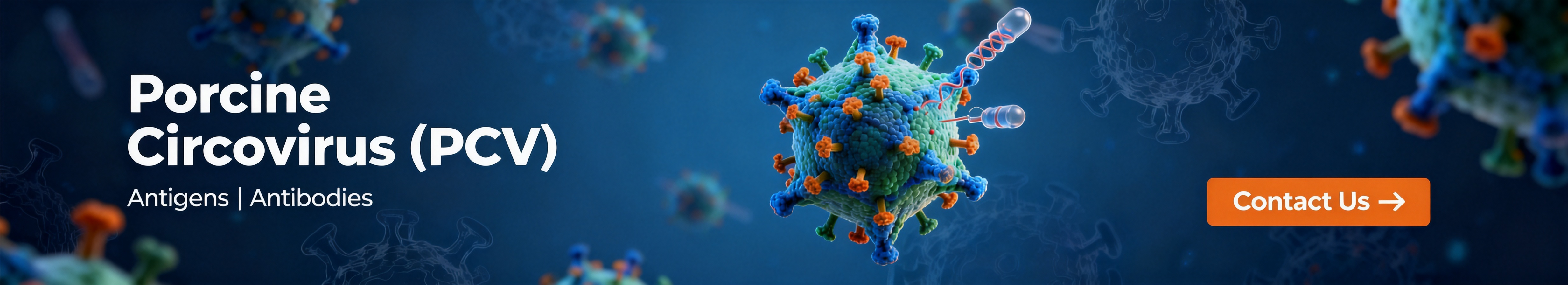 猪圆环病毒 (PCV)