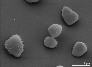 1768954450481473.jpeg 图片.jpeg