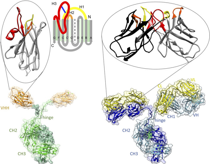 1769762239491881.png 图片1.png