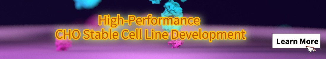 High-Performance CHO Stable Cell Line Development