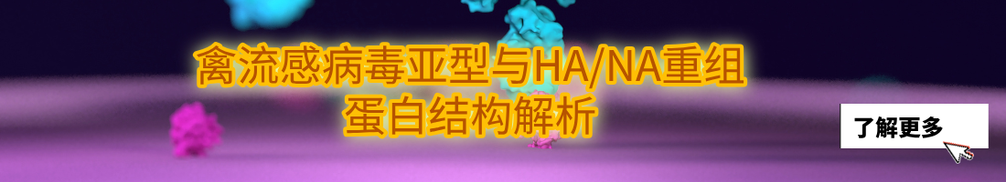 禽流感病毒亚型与HA/NA重组蛋白结构解析