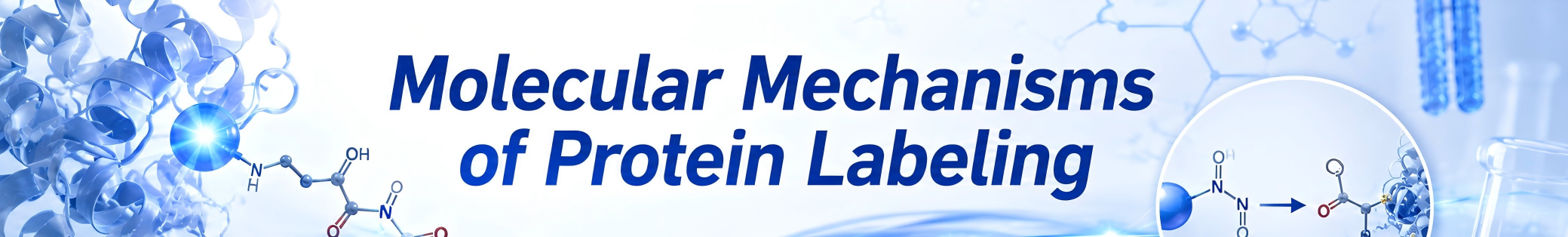 Learn More