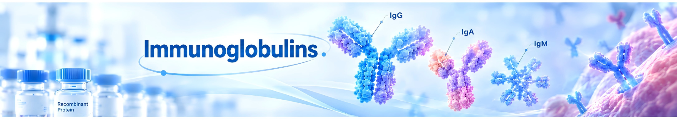 Globulins