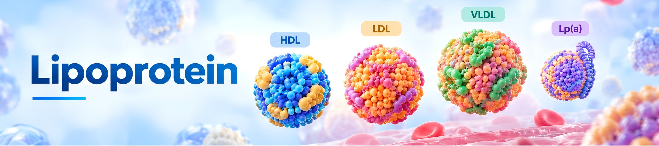 Lipoprotein