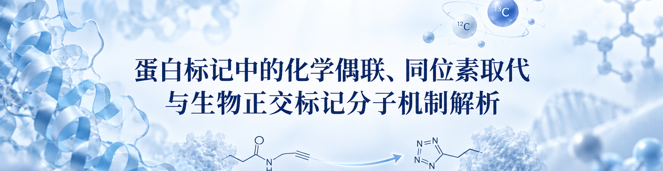 蛋白标记中的化学偶联、同位素取代与生物正交标记分子机制解析