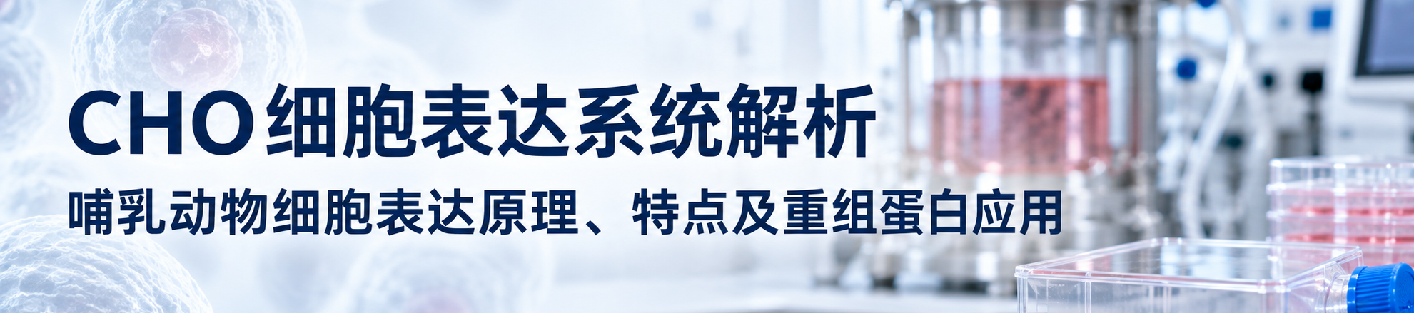 CHO细胞表达系统解析 CHO细胞表达系统解析