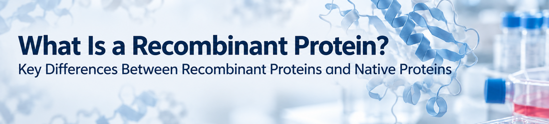 What Is a Recombinant Protein