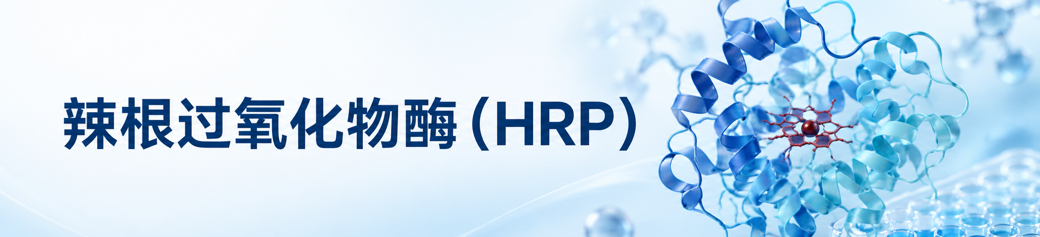 辣根过氧化物酶（HRP）