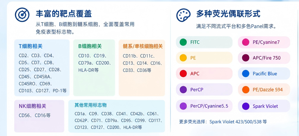 ChatGPT Image 2026年9月6日 11_58_36(1).png