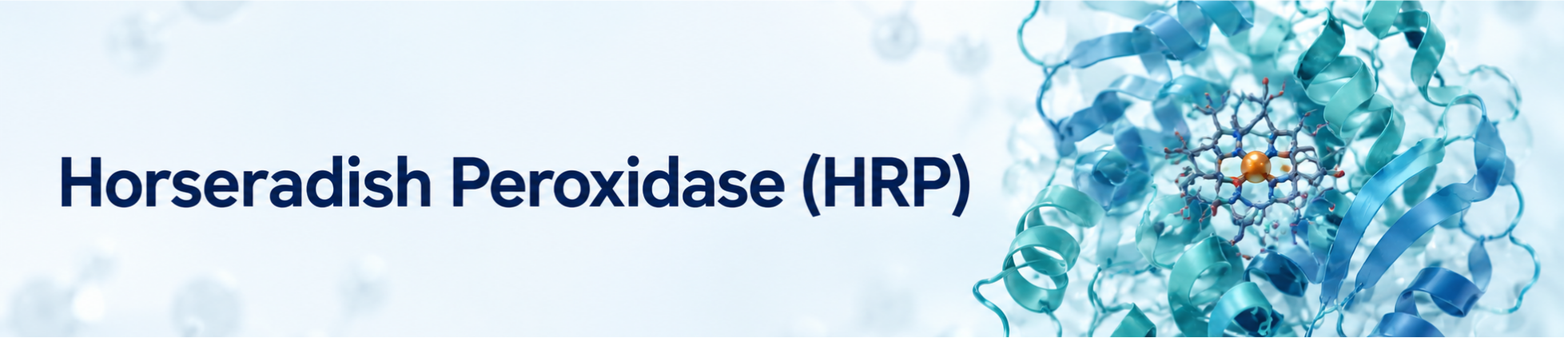 Horseradish peroxidase (HRP) Horseradish peroxidase (HRP)