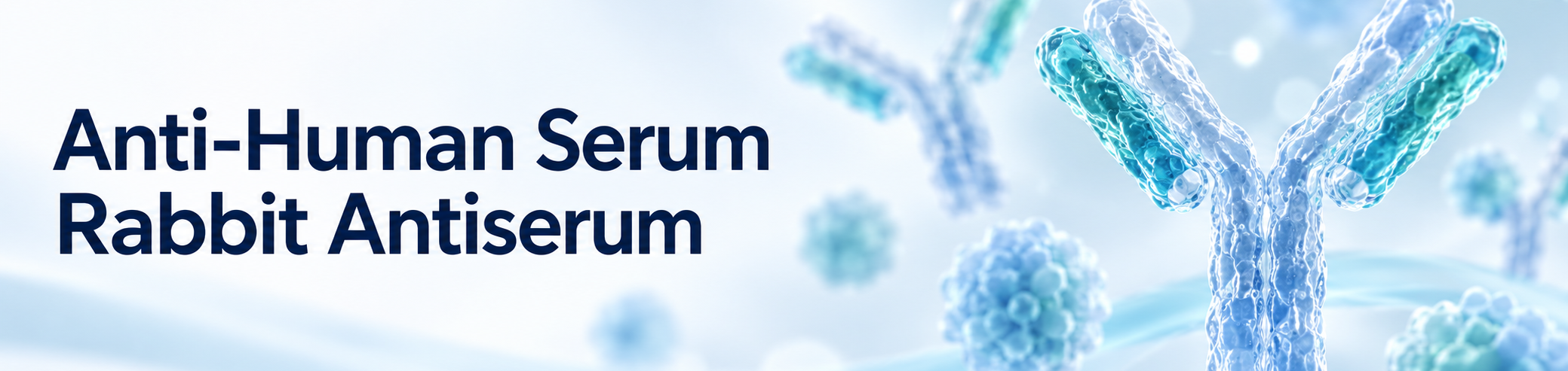 Anti-Human Serum Rabbit Antiserum Anti-Human Serum Rabbit Antiserum