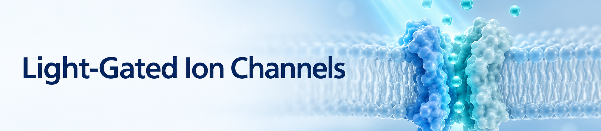 Light-Gated Ion Channels Light-Gated Ion Channels