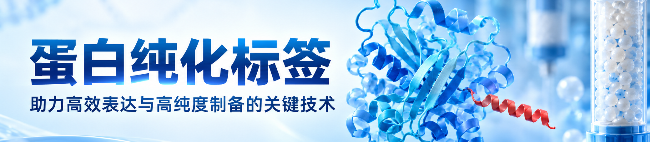 蛋白纯化标签 蛋白纯化标签