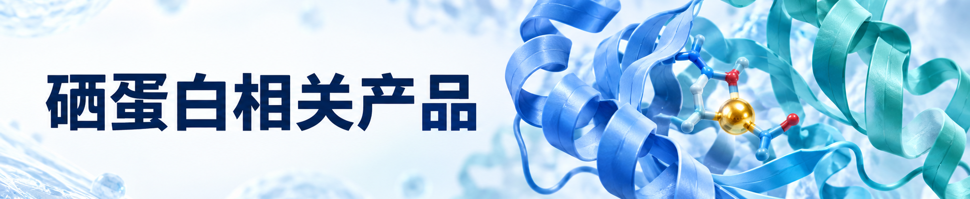 硒蛋白 硒蛋白