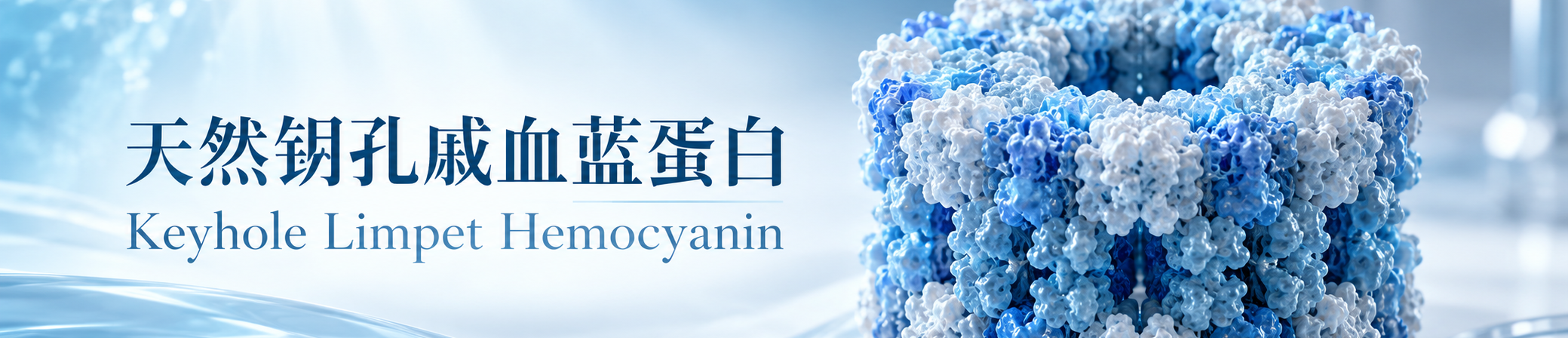 天然钥孔戚血蓝蛋白 天然钥孔戚血蓝蛋白